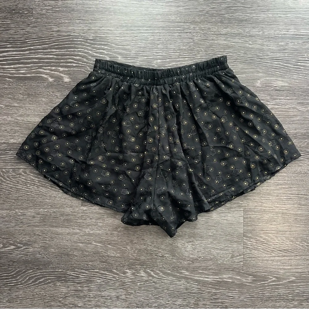Lucy in the Sky Picnic Pretty Black Chiffon Shorts